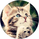 Petr Baloun profile picture